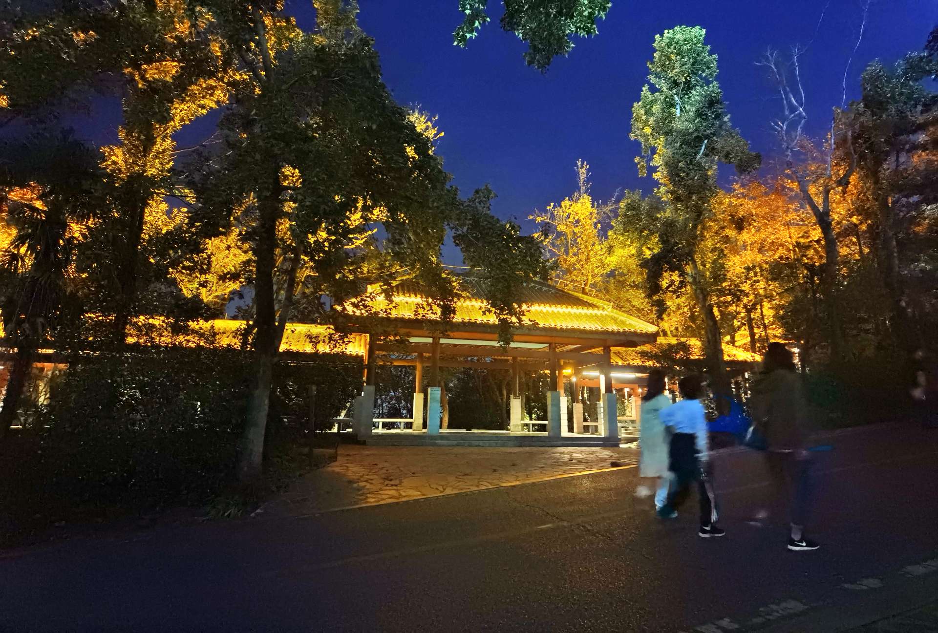 找运动搭子
