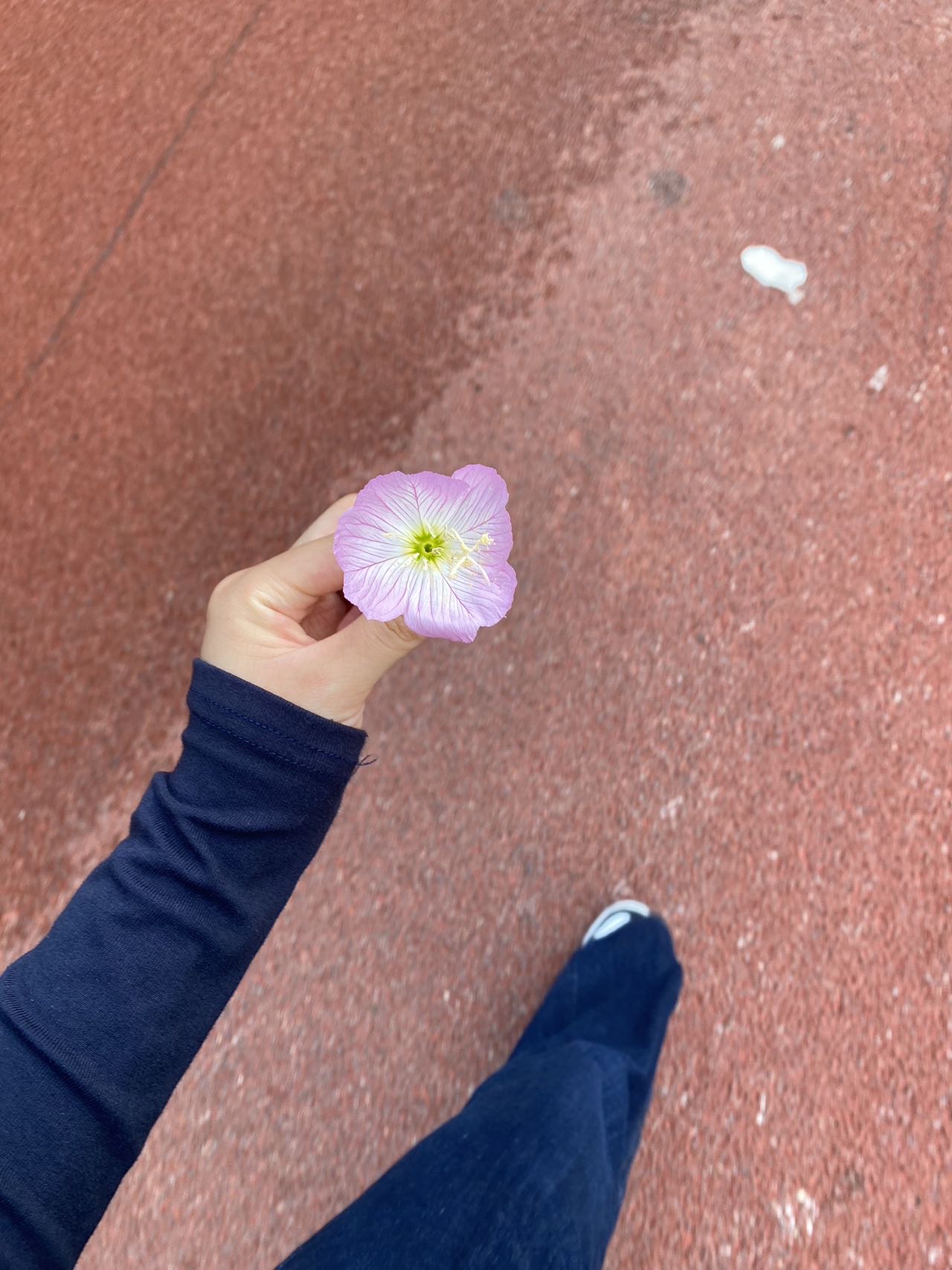 找记录生活搭子
