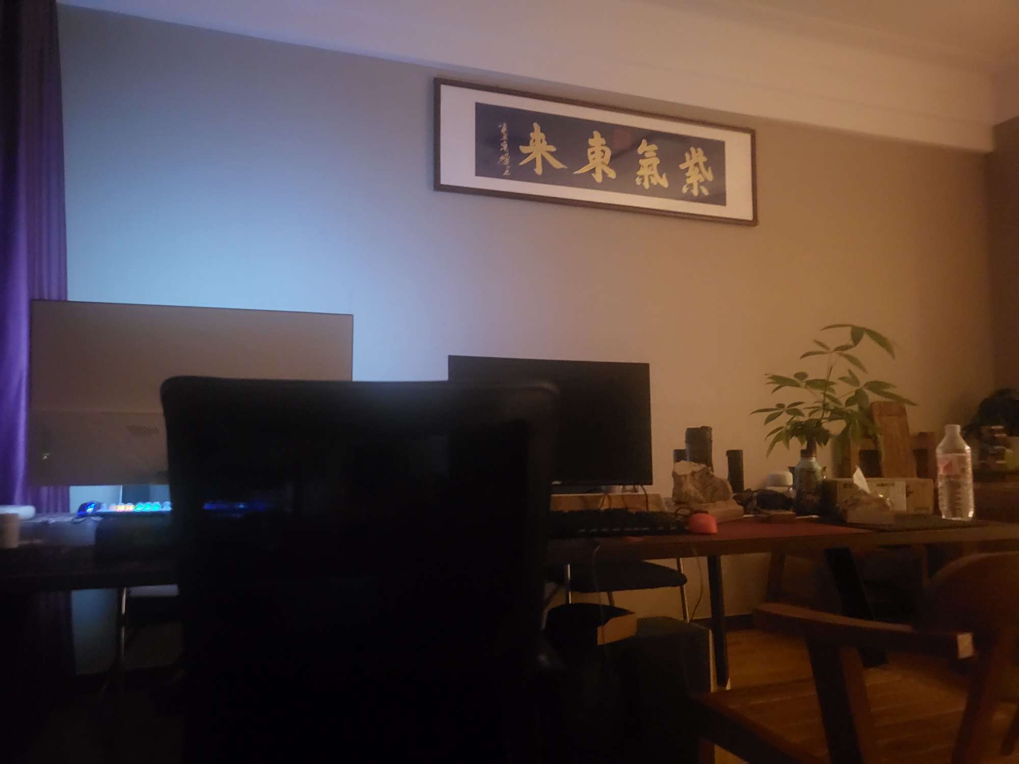 找玩搭子