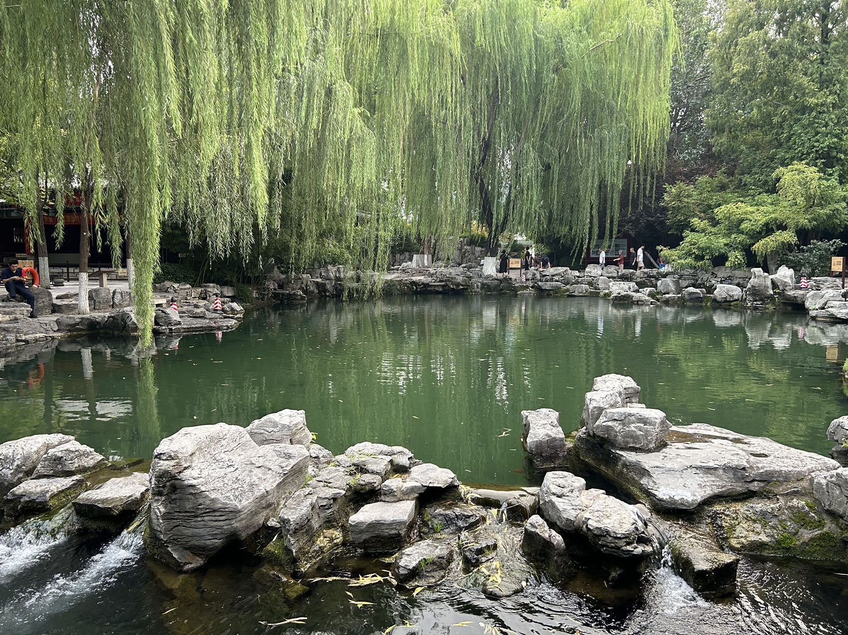 找旅游搭子