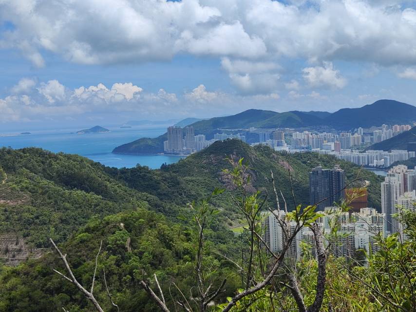 找旅游搭子