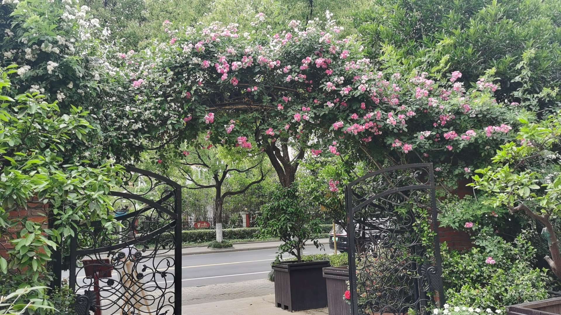 找麻将搭子