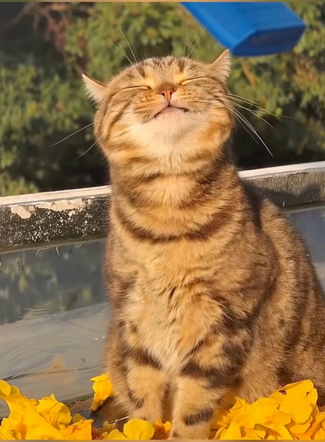 找吃饭搭子