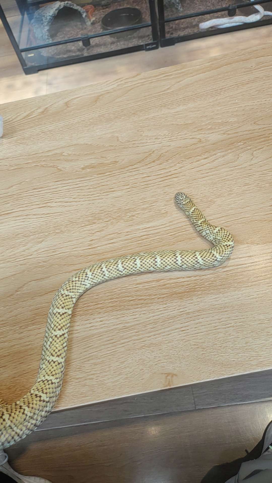 找打游戏搭子