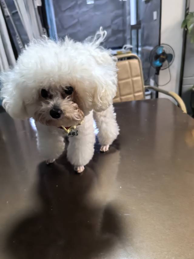 找游戏搭子