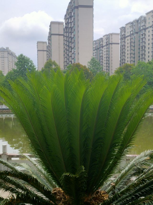 找游玩搭子
