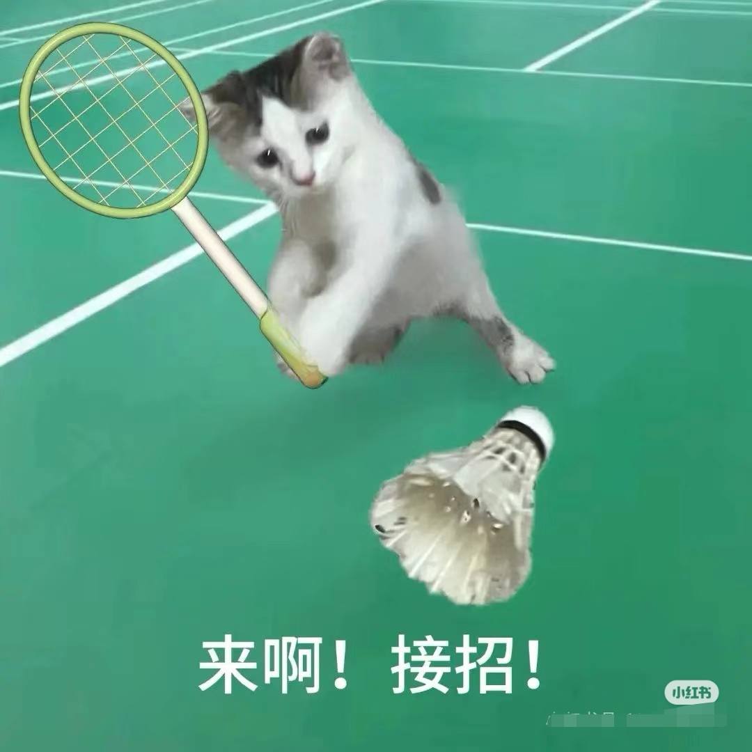 找旅游搭子