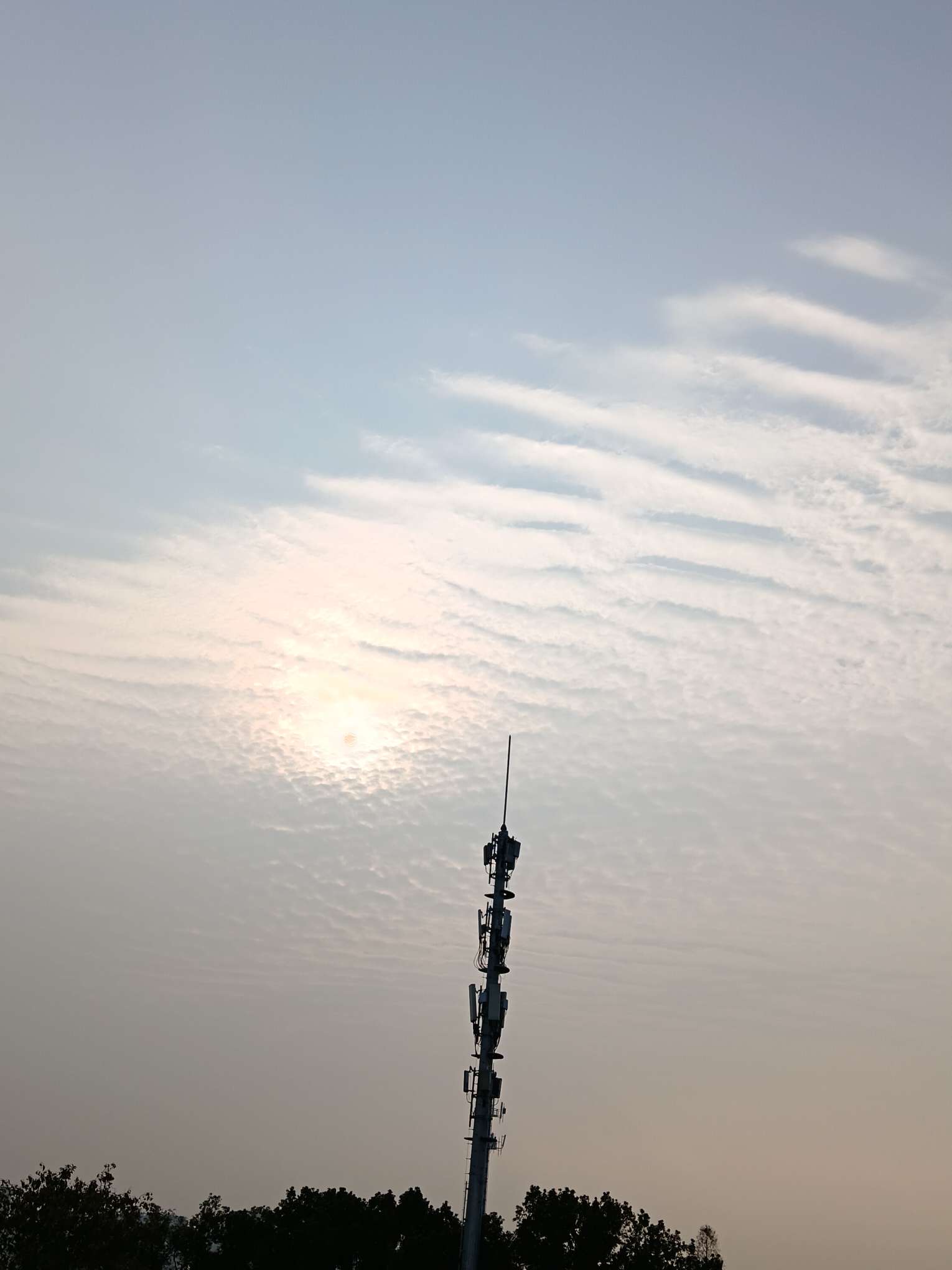 找学习搭子