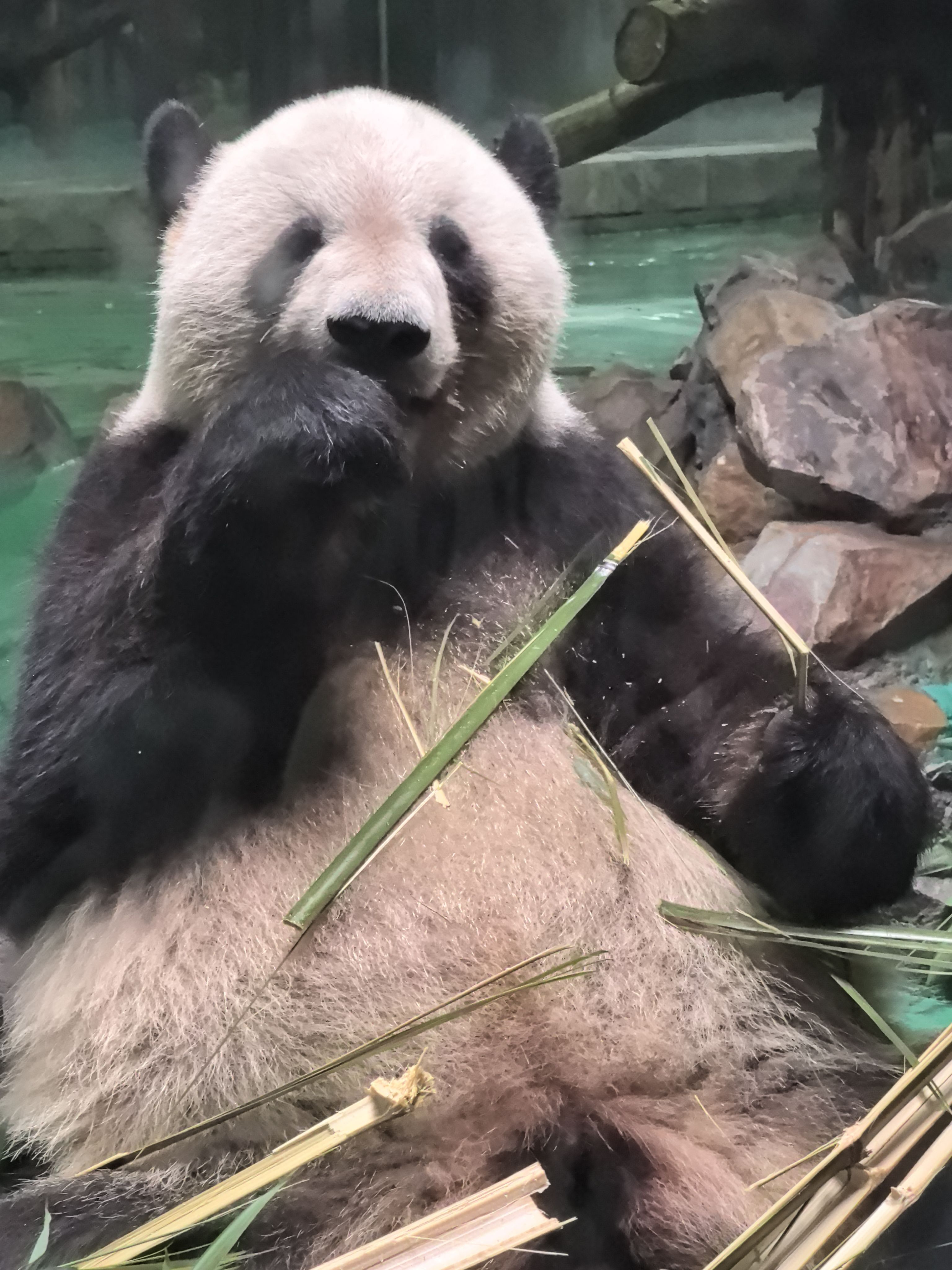 找游玩搭子