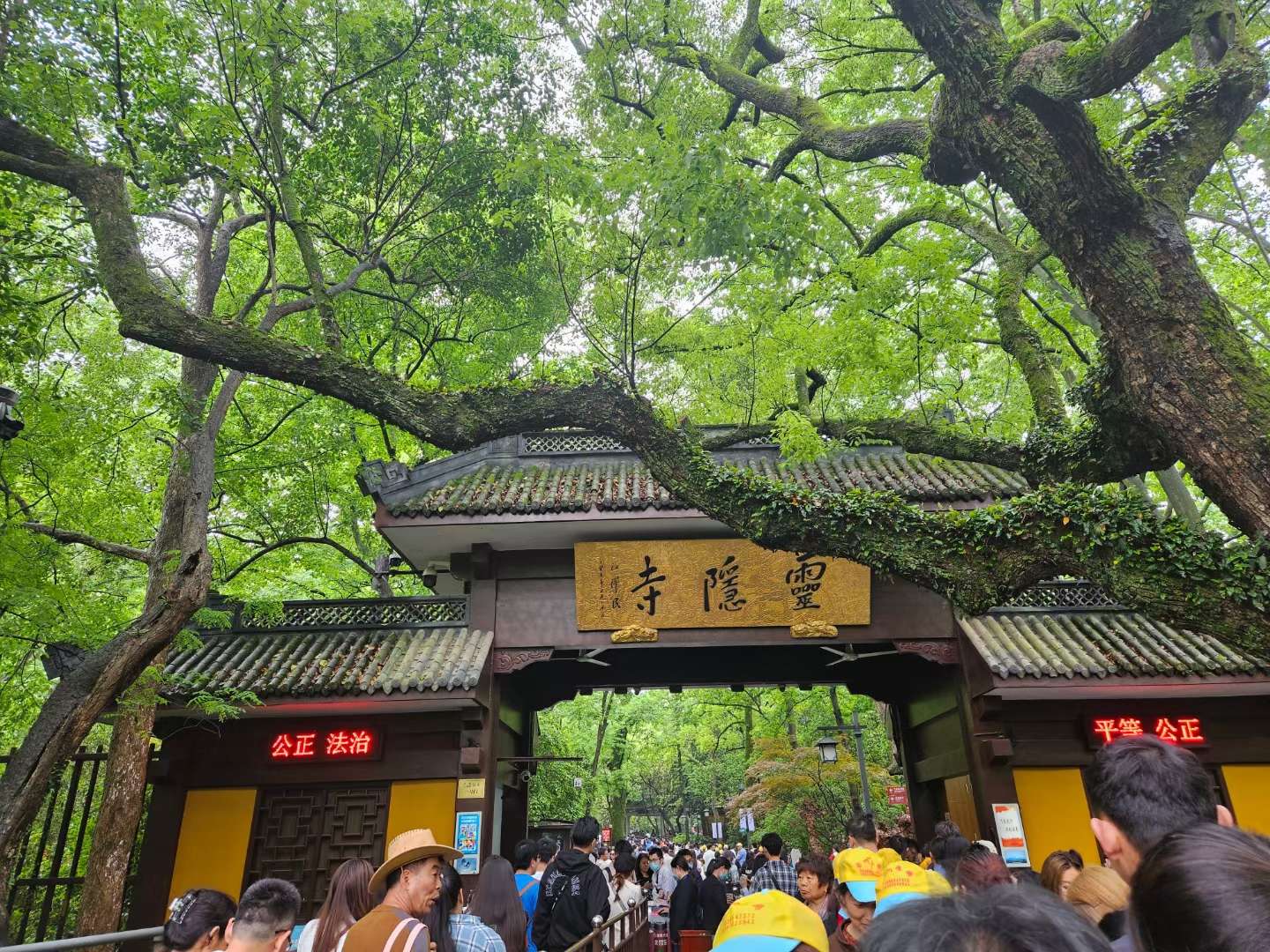找羽毛球搭子