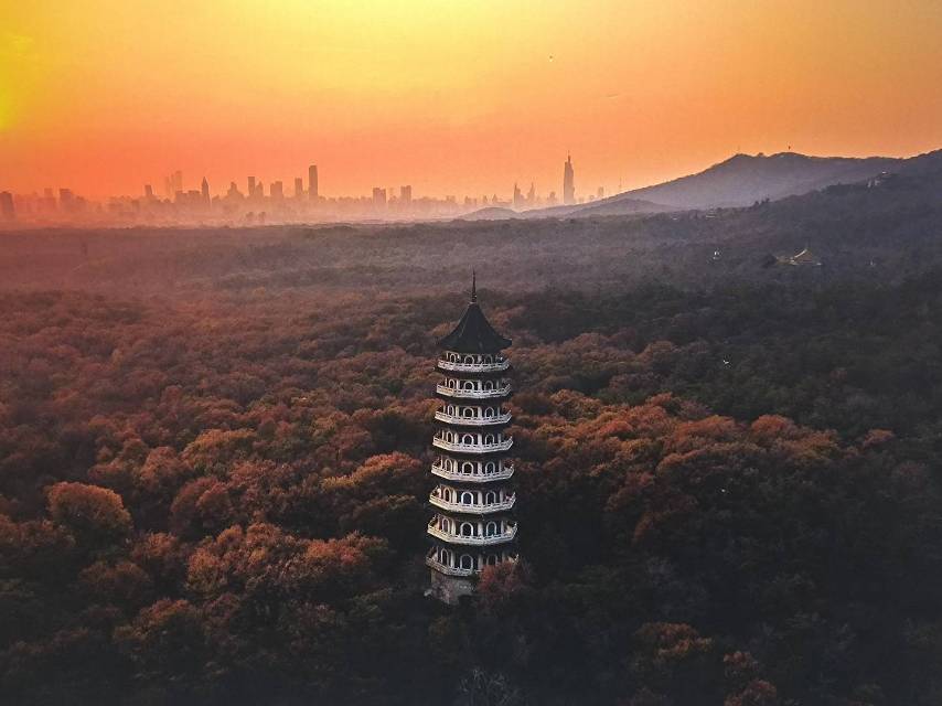 找旅游搭子