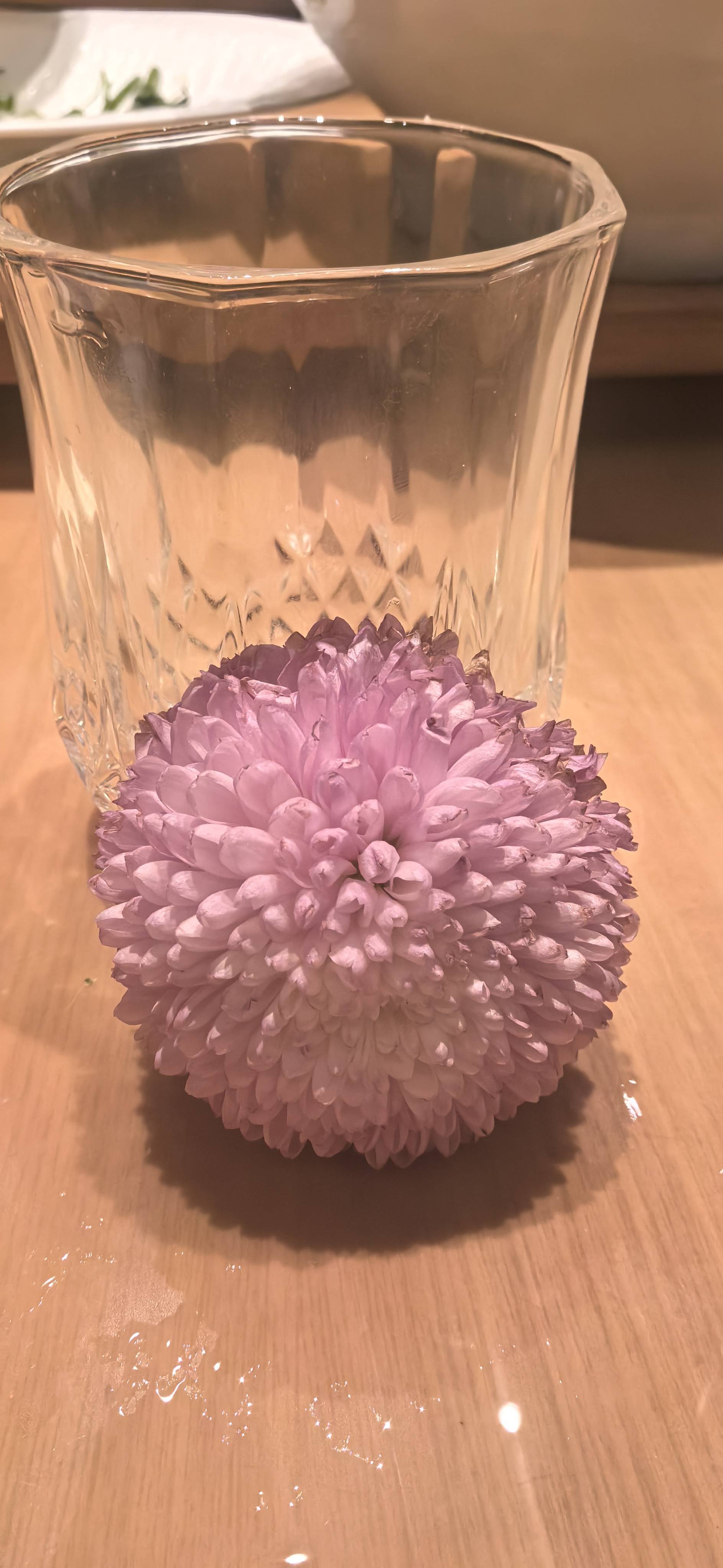 找旅行搭子