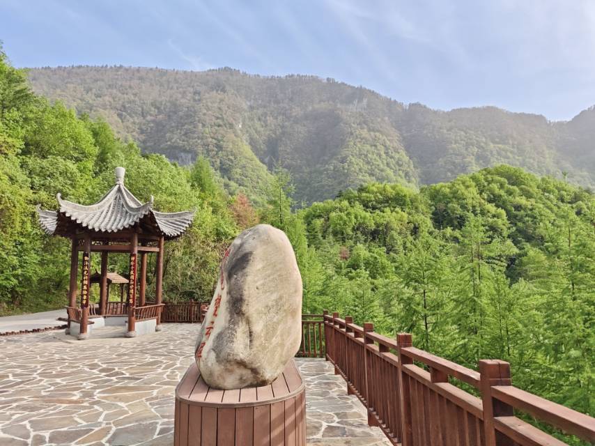 找旅游搭子