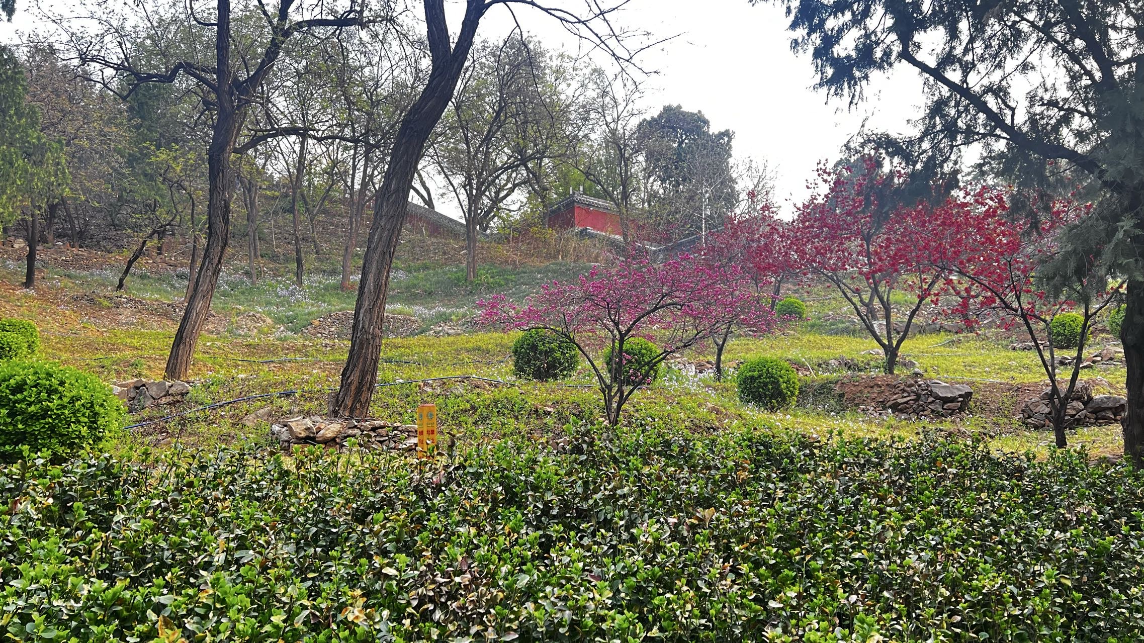 找运动搭子