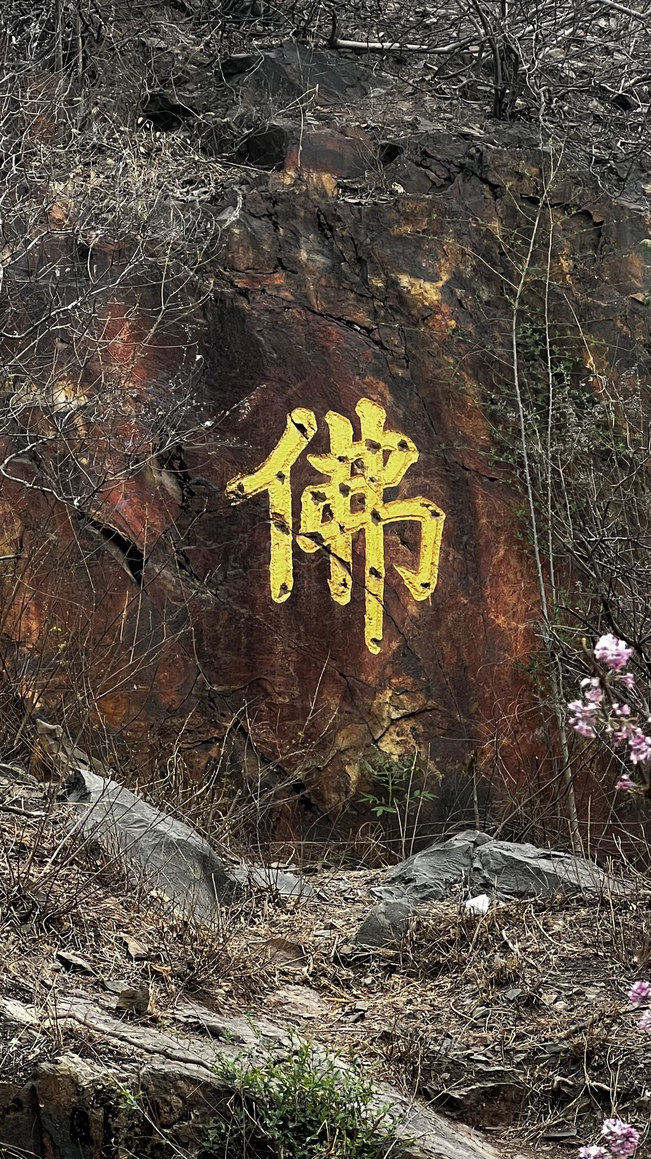 找运动搭子