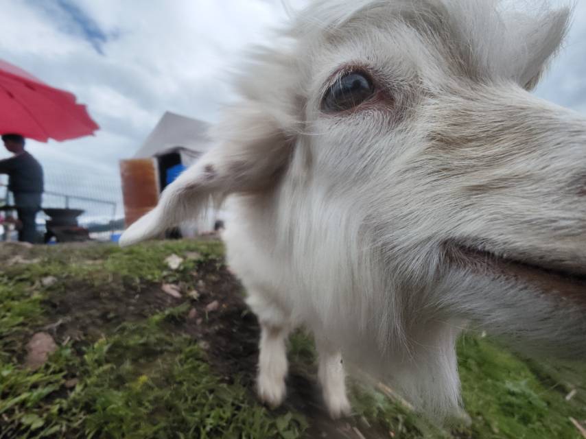 找旅游搭子