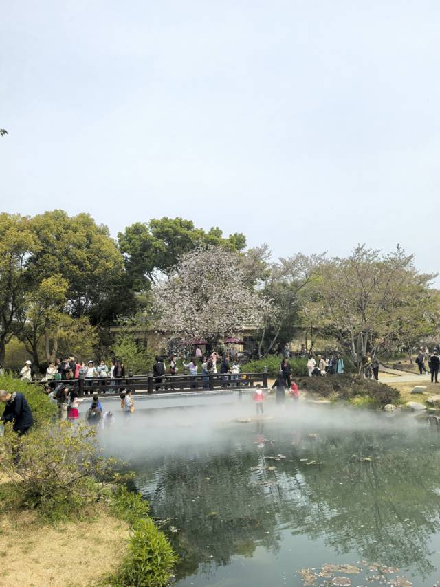 找旅行搭子