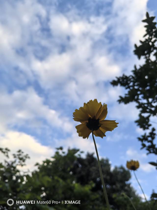 找运动搭子