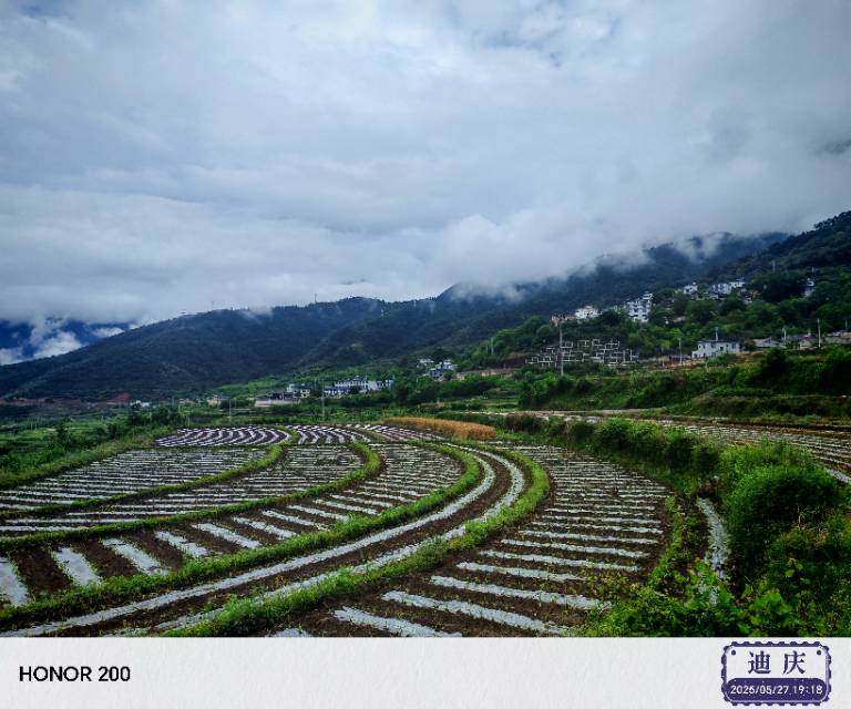 找旅游搭子