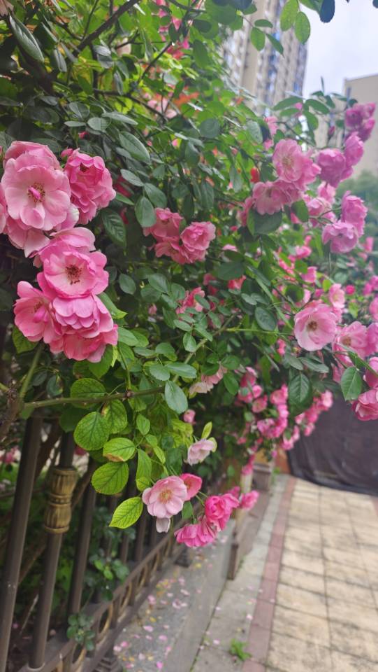 找旅游搭子