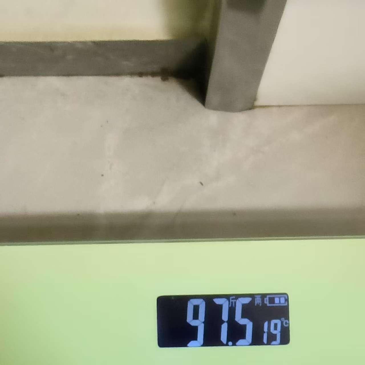 找减肥搭子