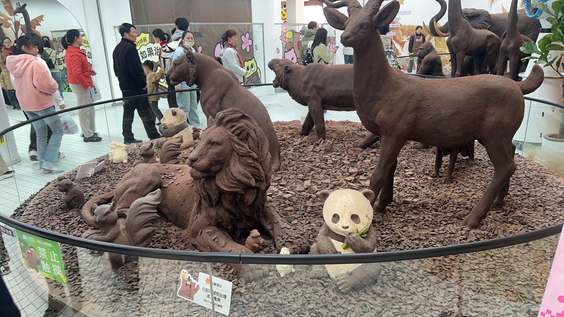 找逛街搭子