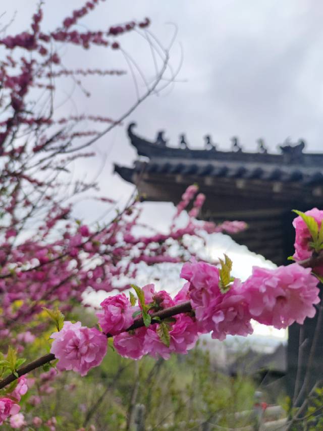 找旅游骑行搭子