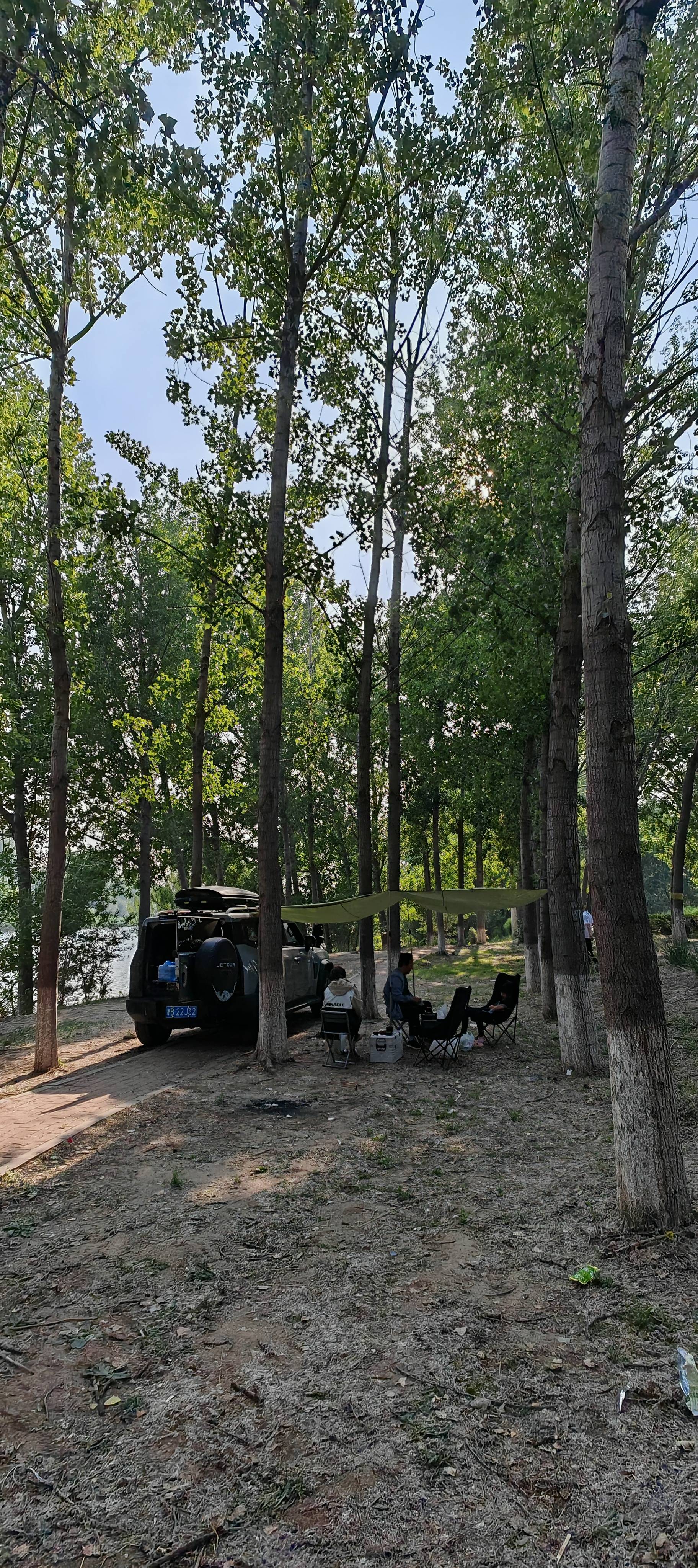 找旅行搭子