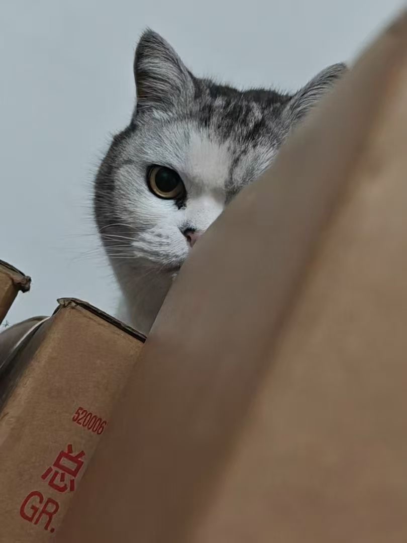 找周末搭子