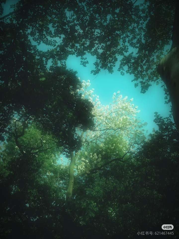 找生活搭子
