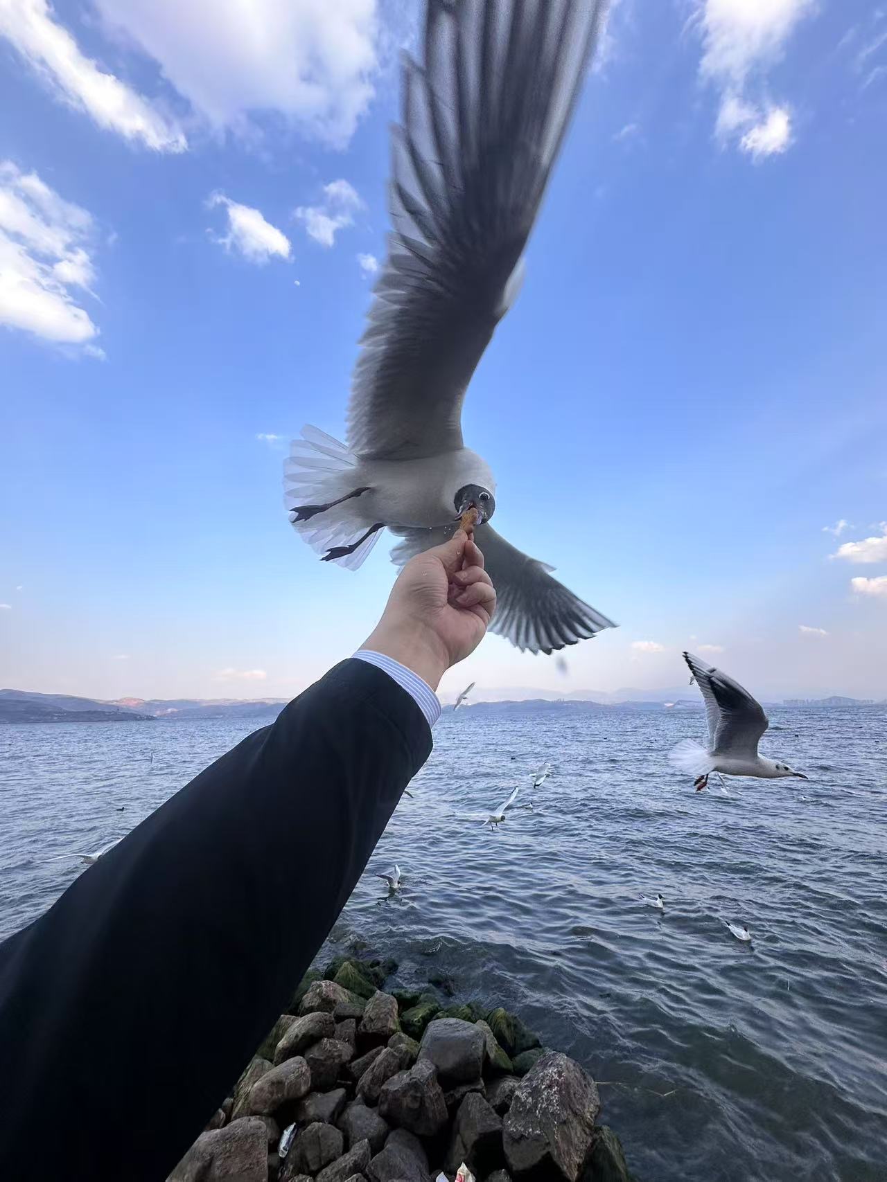 找旅行搭子