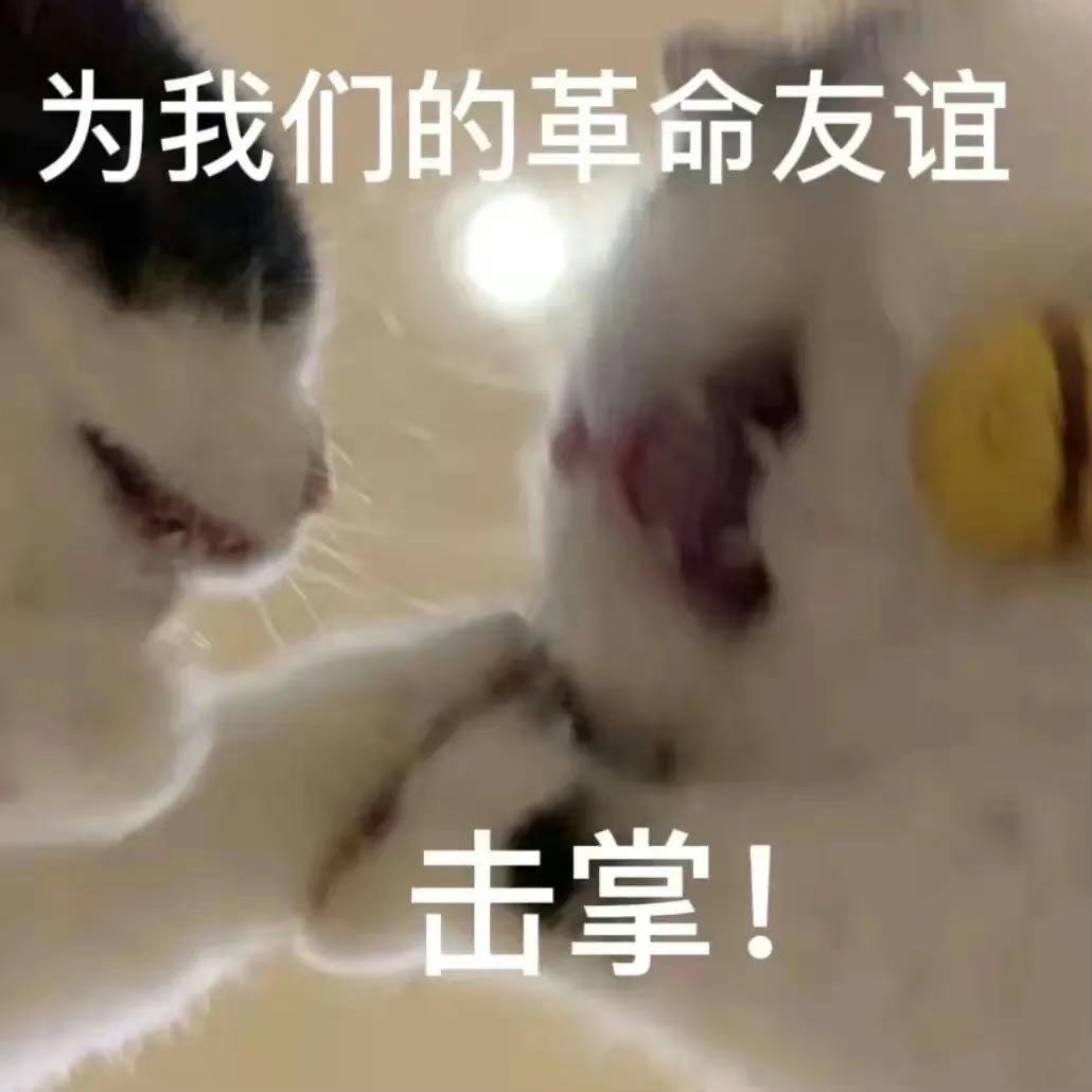 找陪伴搭子