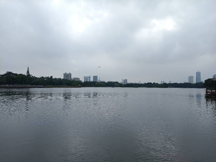 找逛公园搭子