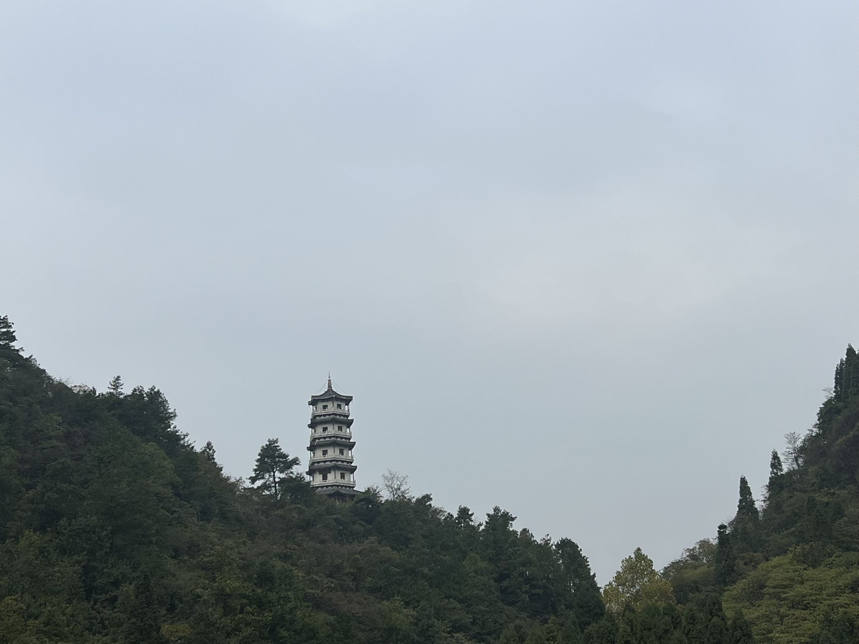 找旅游搭子