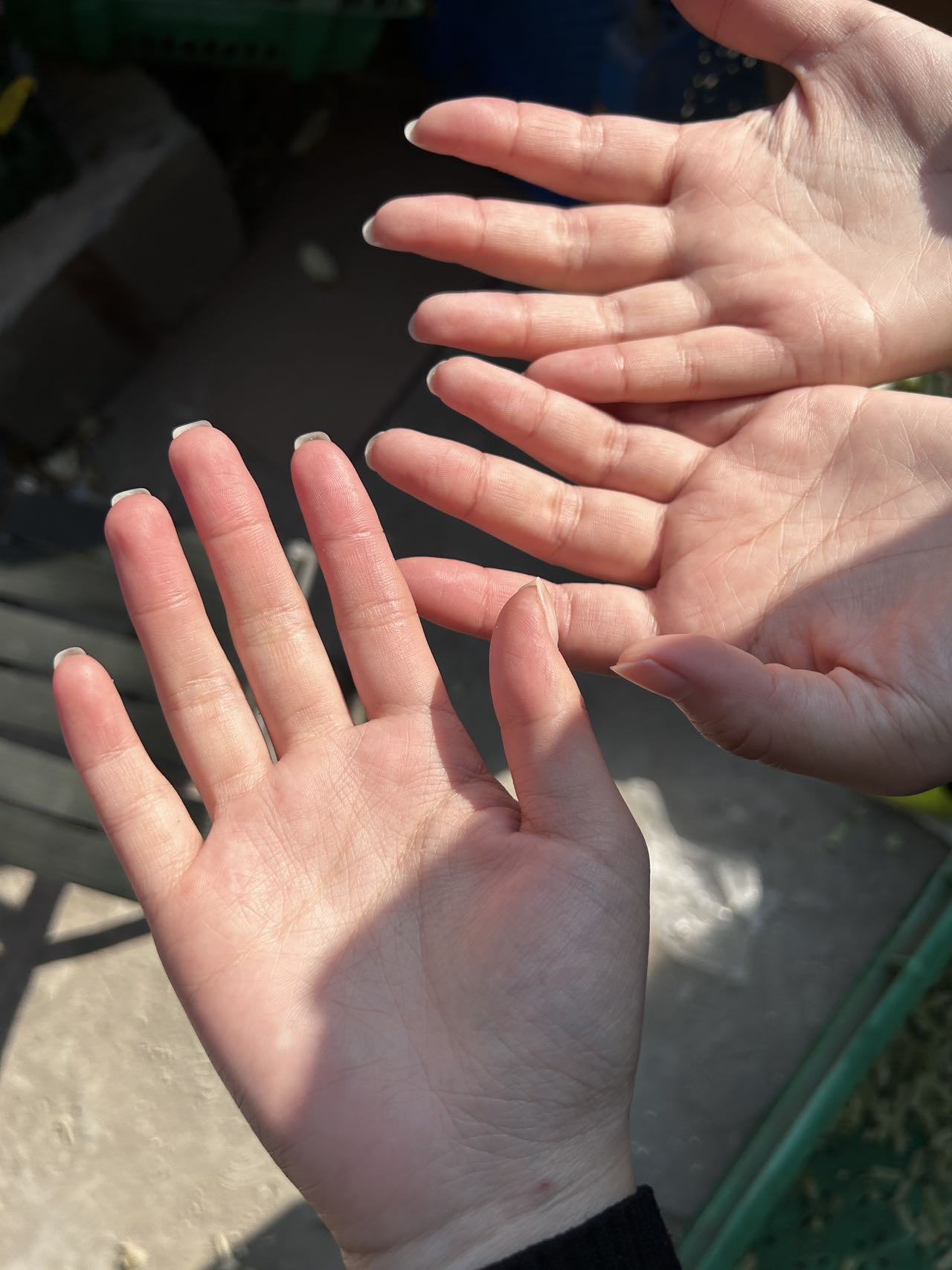 找游玩搭子