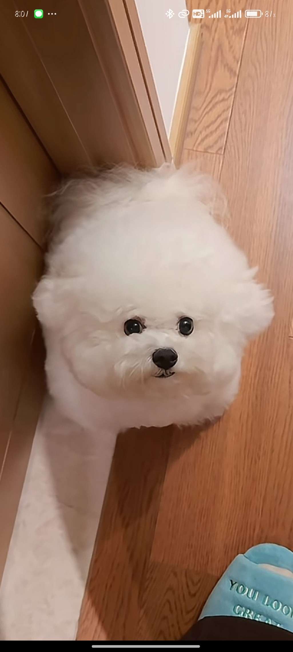 找休闲搭子