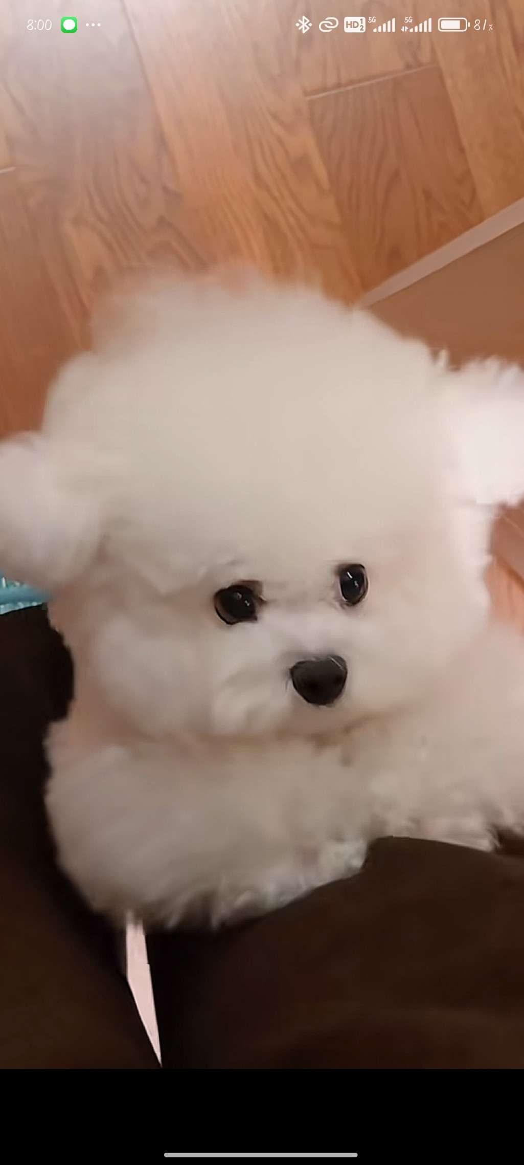 找休闲搭子