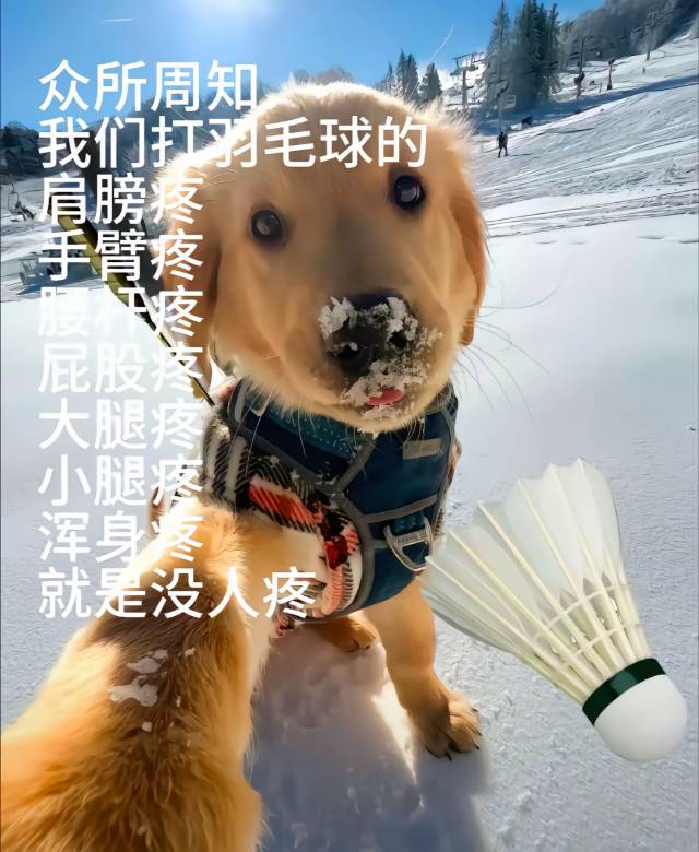 找羽毛球搭子