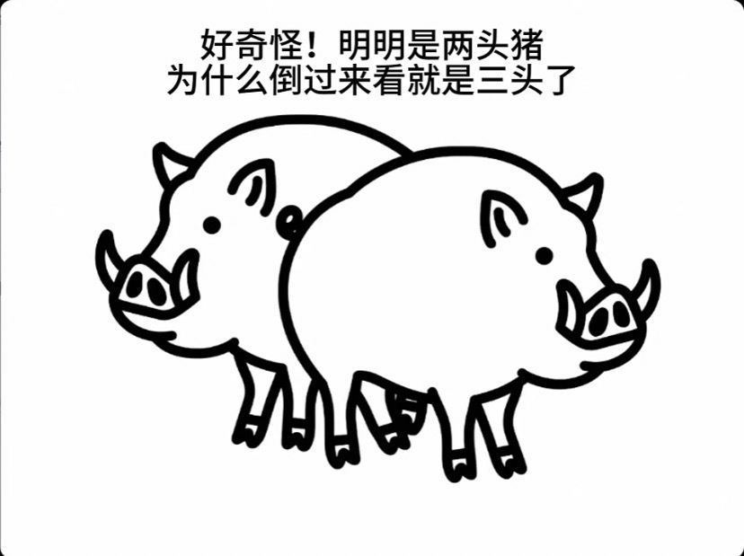 找吃喝玩乐搭子
