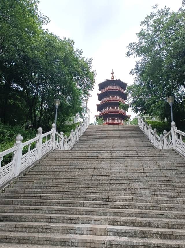 找运动搭子