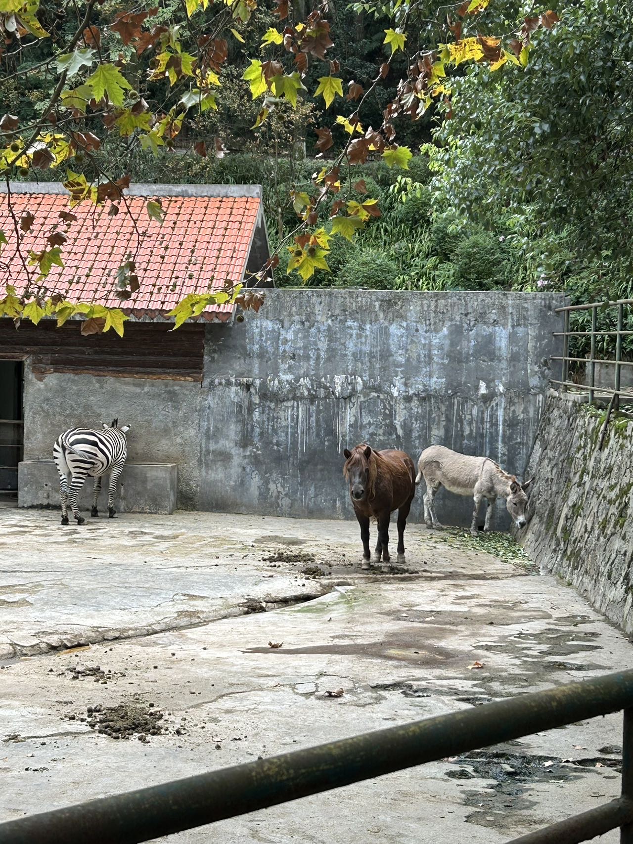 找运动搭子