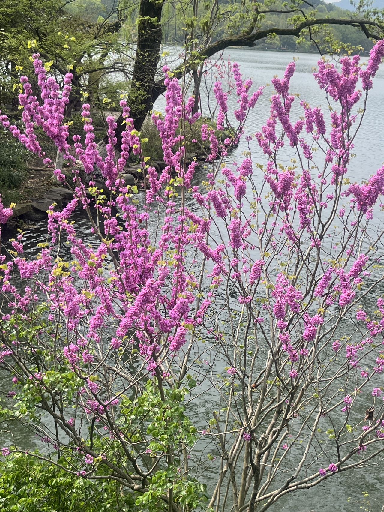 找户外搭子