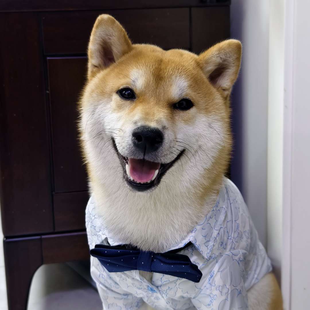 找聊天搭子