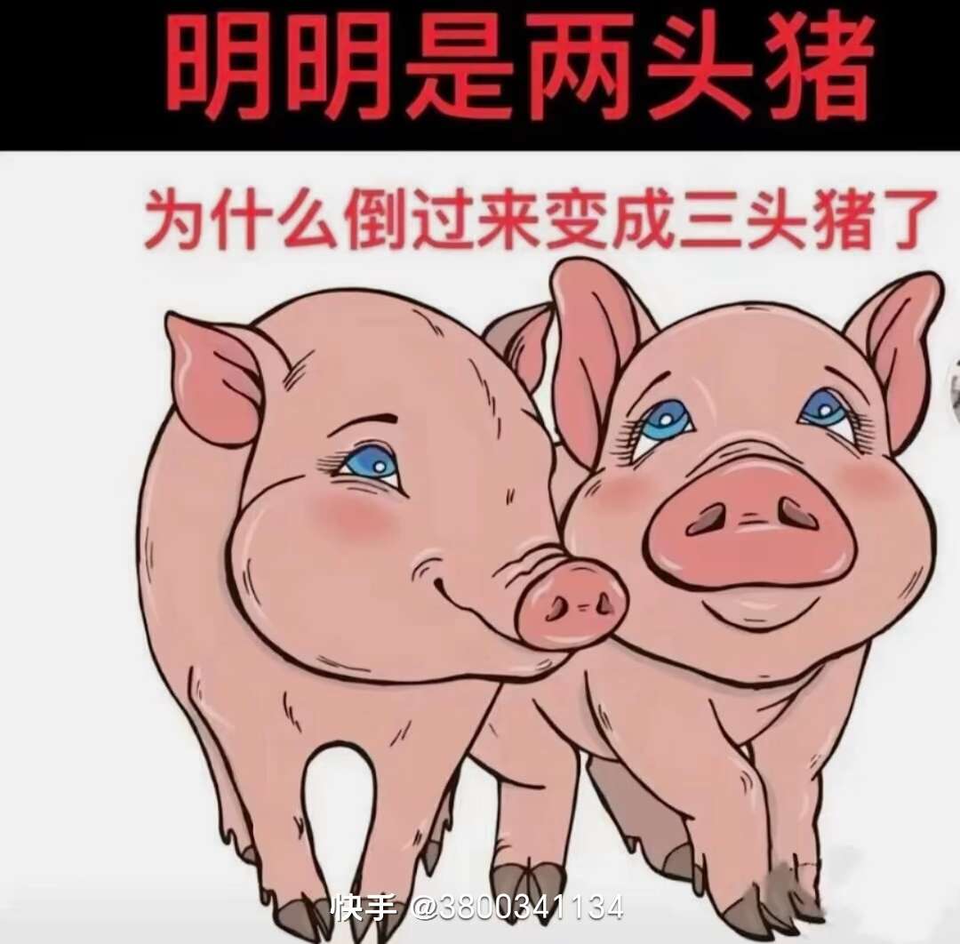 找旅游搭子