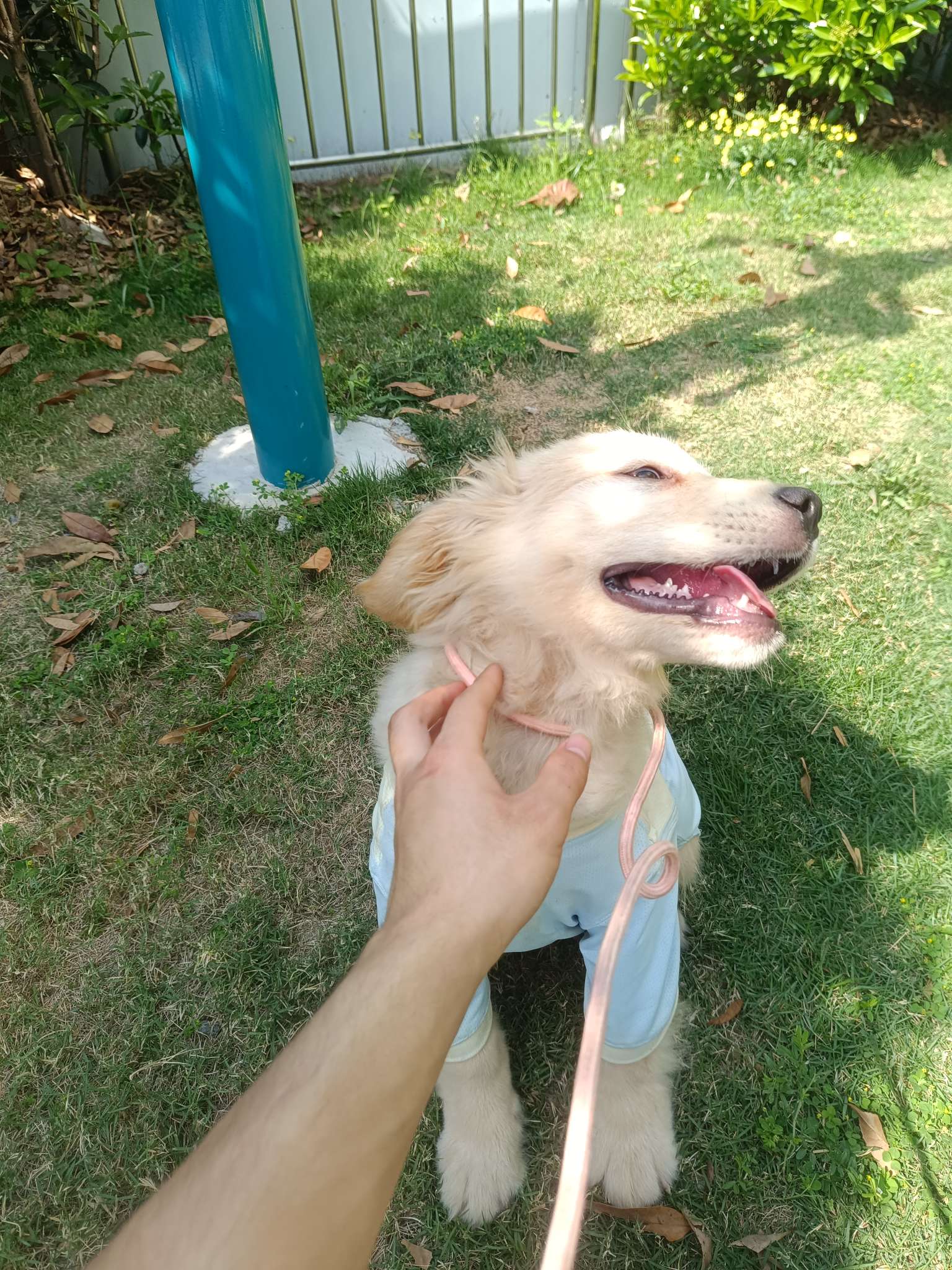 找运动搭子