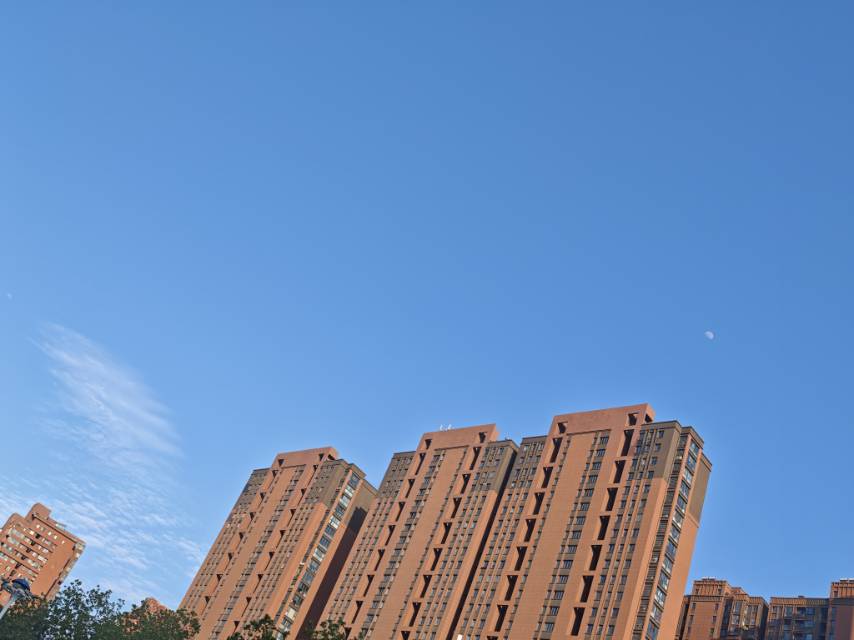 找旅游搭子