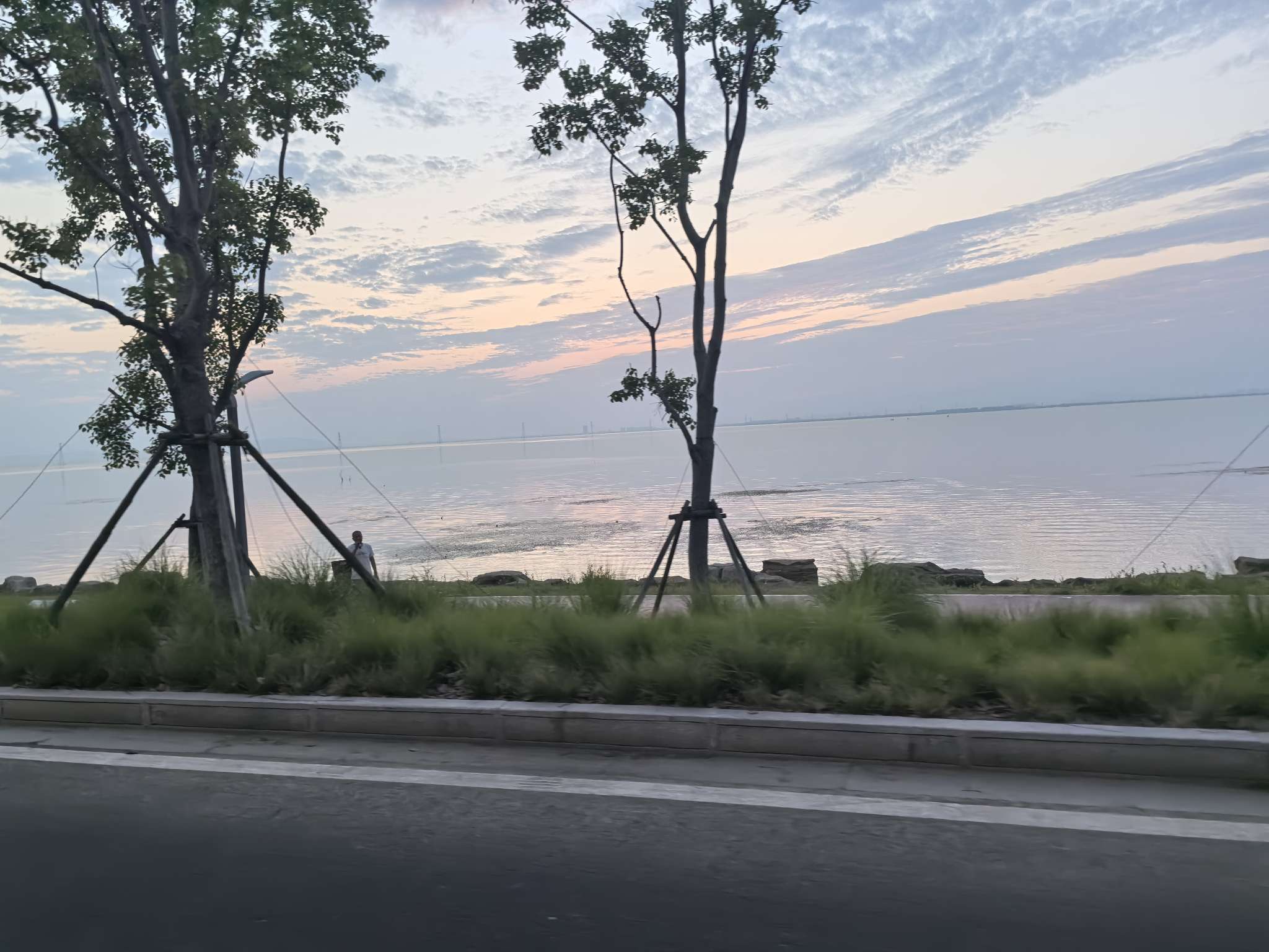 找活动搭子