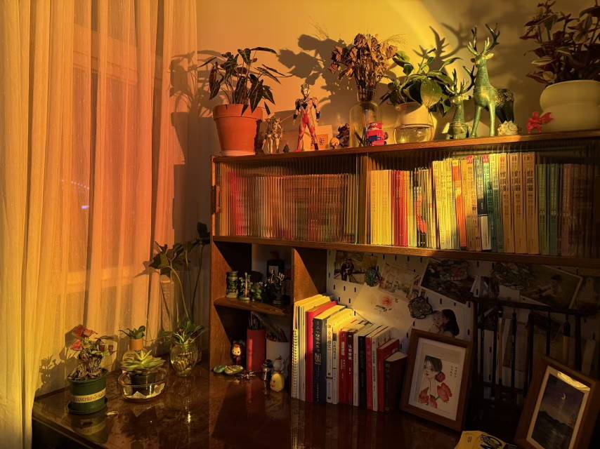 找旅游搭子