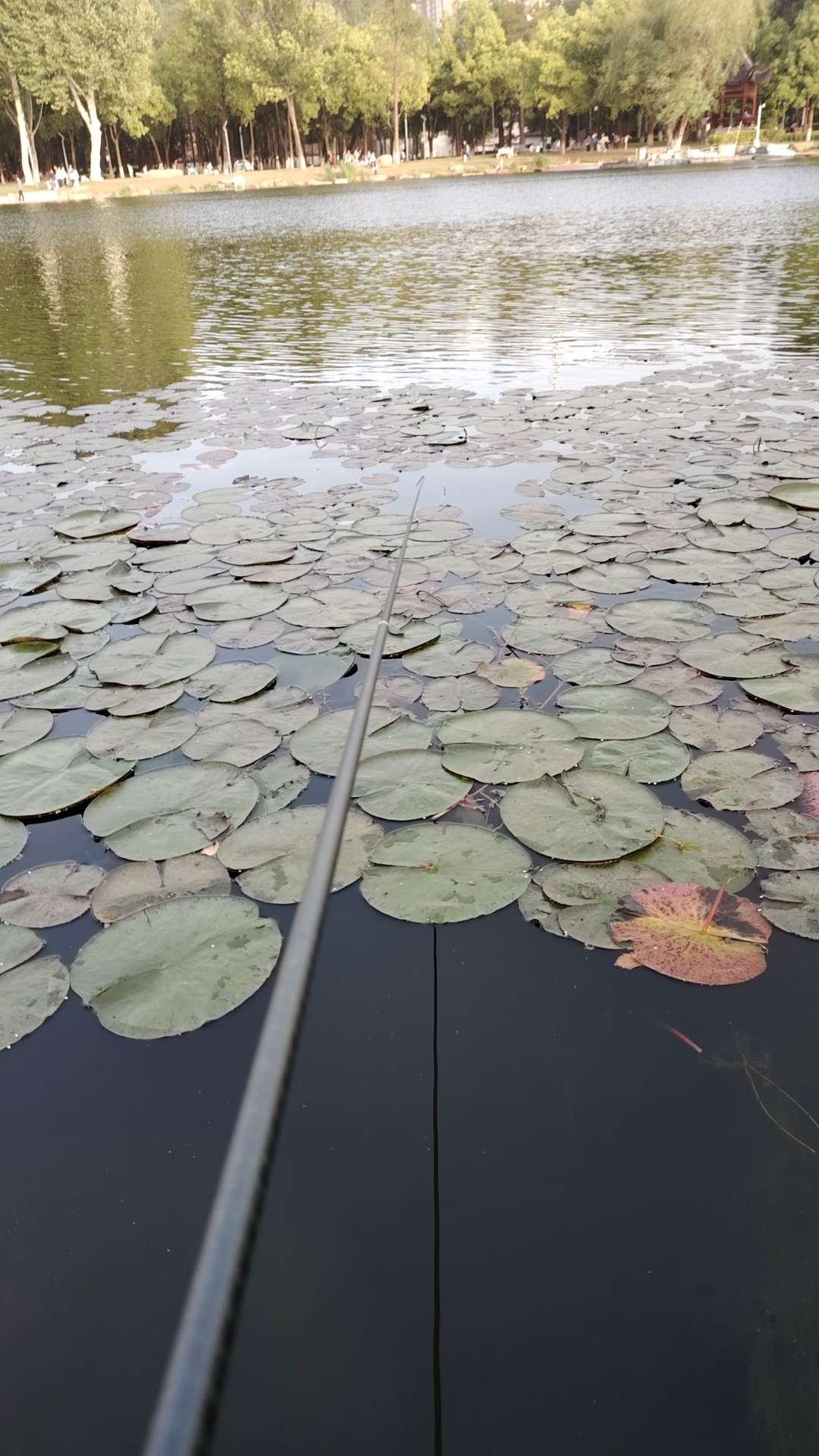 找羽毛球搭子