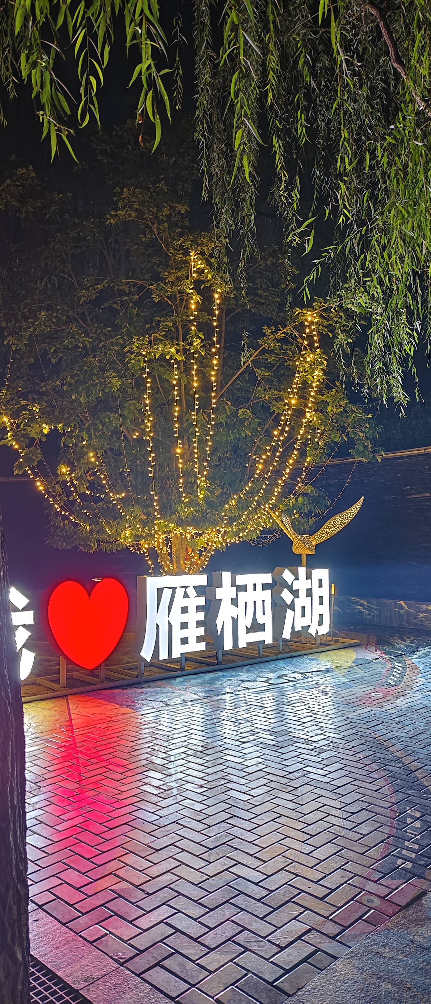 找运动搭子
